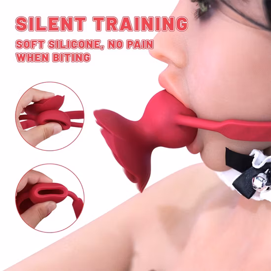 Spina per bocca SM Bondage Morso di osso di cane BDSM Anello per bocca Trazione Catena Apparecchio Bocca Gag Giocattolo del sesso